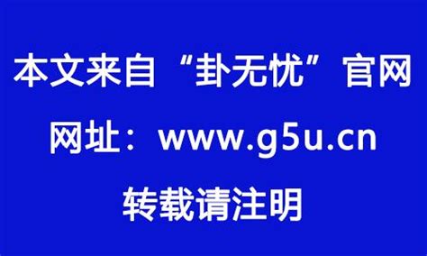 屬狗女1982|1982年出生属什么生肖 1982年属狗是什么命